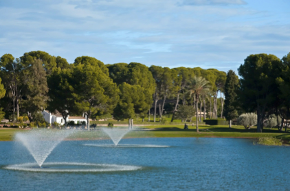 Reuniones de empresa diferentes