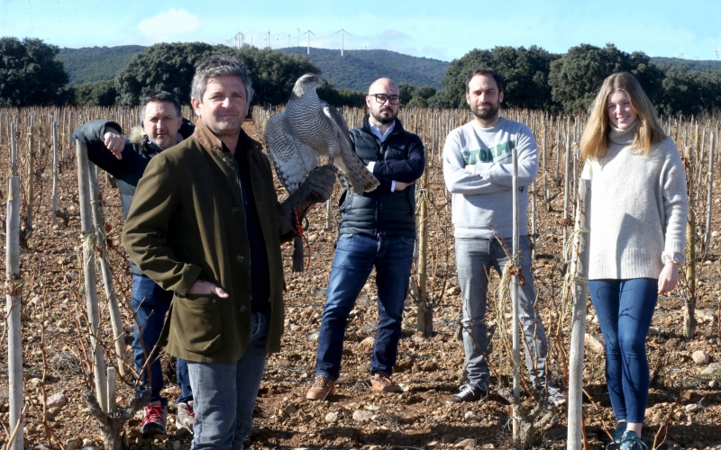 Álvaro Palacios renuncia a invertir 18 millones en su nueva bodega en Alfaro